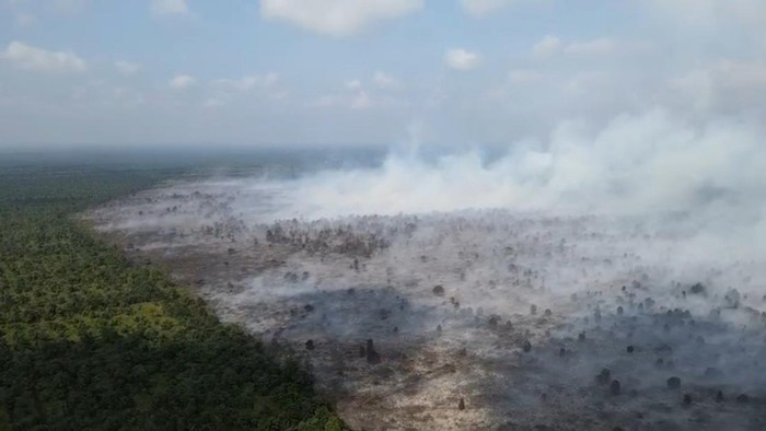 Satgas Karhutla Jambi Siagakan Personel di Pos Rawan Kebakaran, 1.205 Titik Panas Terdeteksi Sejak Awal 2026