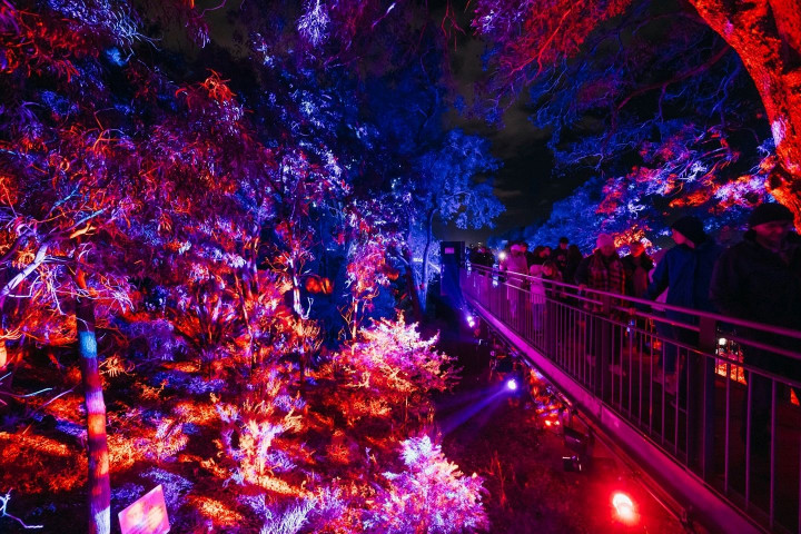 Lightscape Perth 2026: 1,8 Kilometer Instalasi Cahaya di Kings Park, Hadir 5 Juni hingga 26 Juli