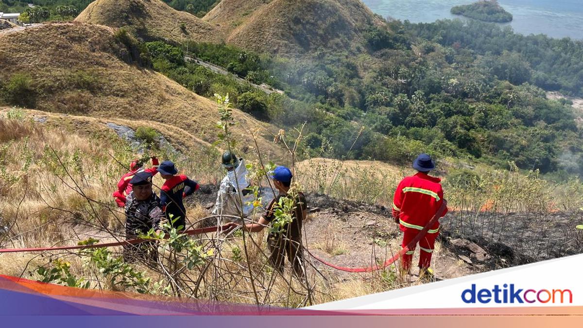 Puntung Rokok Pengunjung Sebabkan Kebakaran di Kawasan Wisata Bukit Silvia Labuan Bajo, Empat Hektare Ludes