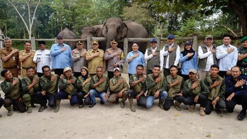 Anggota DPR Rajiv Apresiasi Kelahiran Anak Gajah 'Nona Seroja' di Taman Nasional Tesso Nilo
