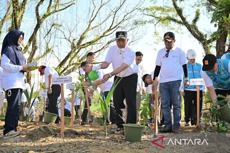 Pemprov Sumbar Tanam 1.000 Pohon di Hutan Kota Malvinas, Angkat Kerugian Banjir Capai Rp33 Triliun