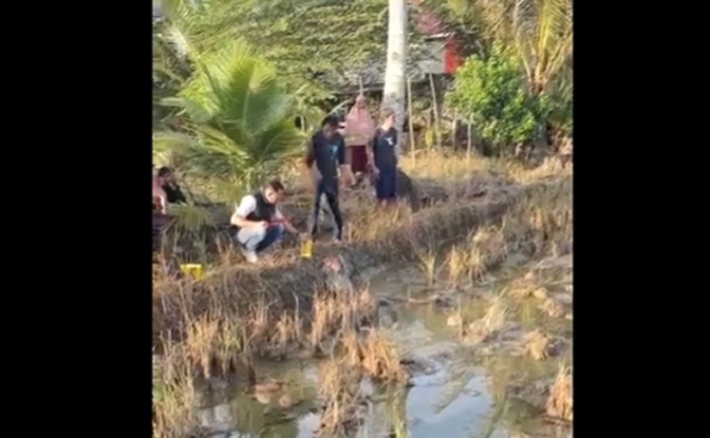 Pelajar SMA di Luwu Timur Bunuh Gadis Tetangga gegara Cinta Tak Sampai, Korban Dihantam Batu di Sawah