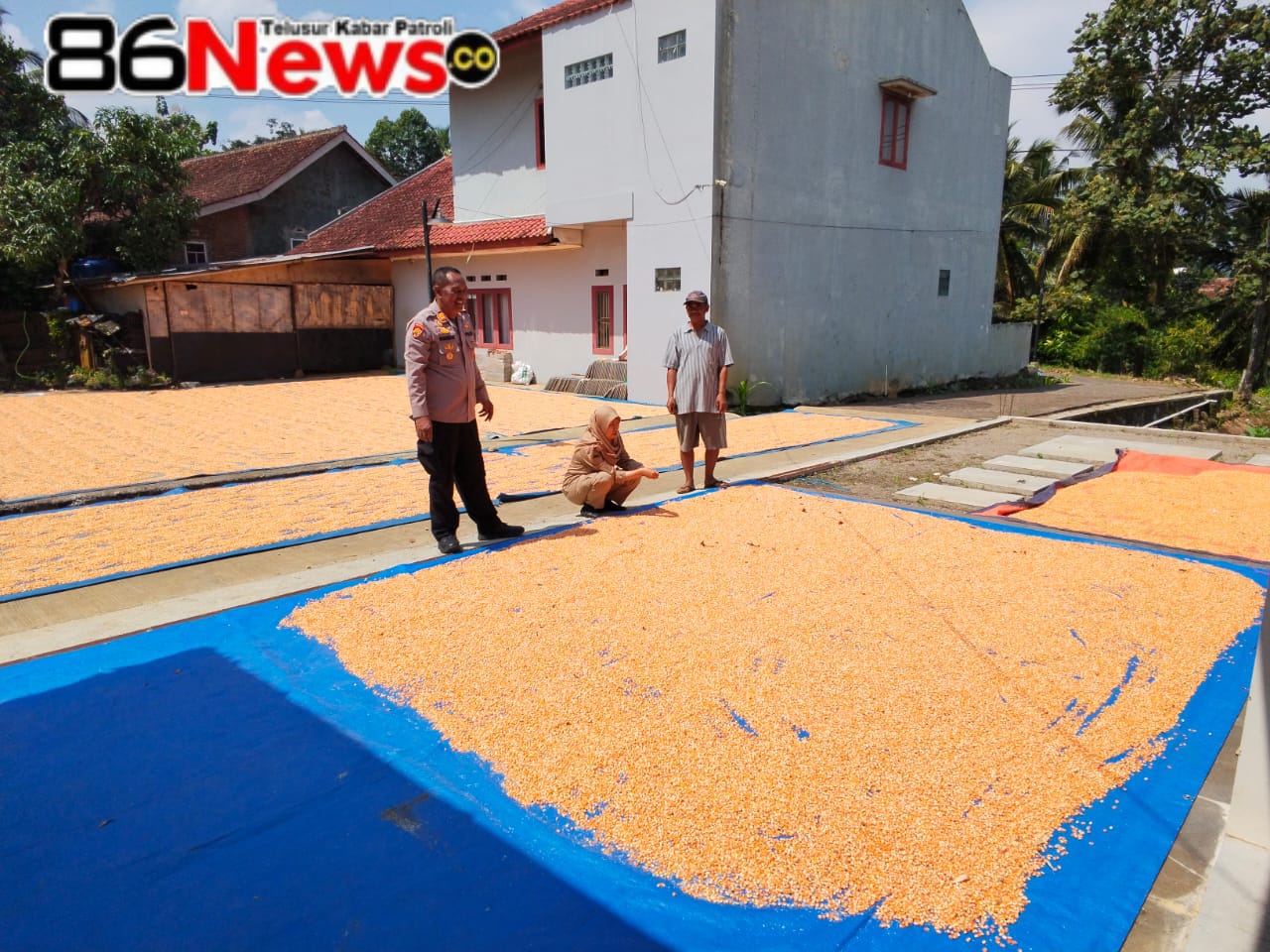 Polsek Sukaweuning Gandeng Bulog dan Petani Garut Wujudkan Swasembada Jagung, AKP Budiman: Ketahanan Pangan Fondasi Bangsa