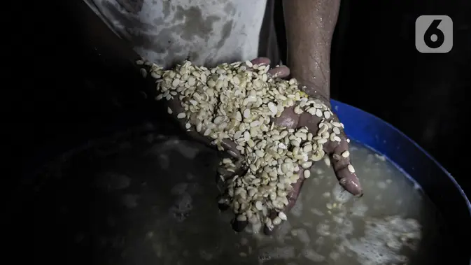 Pemerintah Suntik Subsidi Rp 2.000 per Kg Kedelai, Bulog Distribusikan 250.000 Ton untuk Perajin Tempe