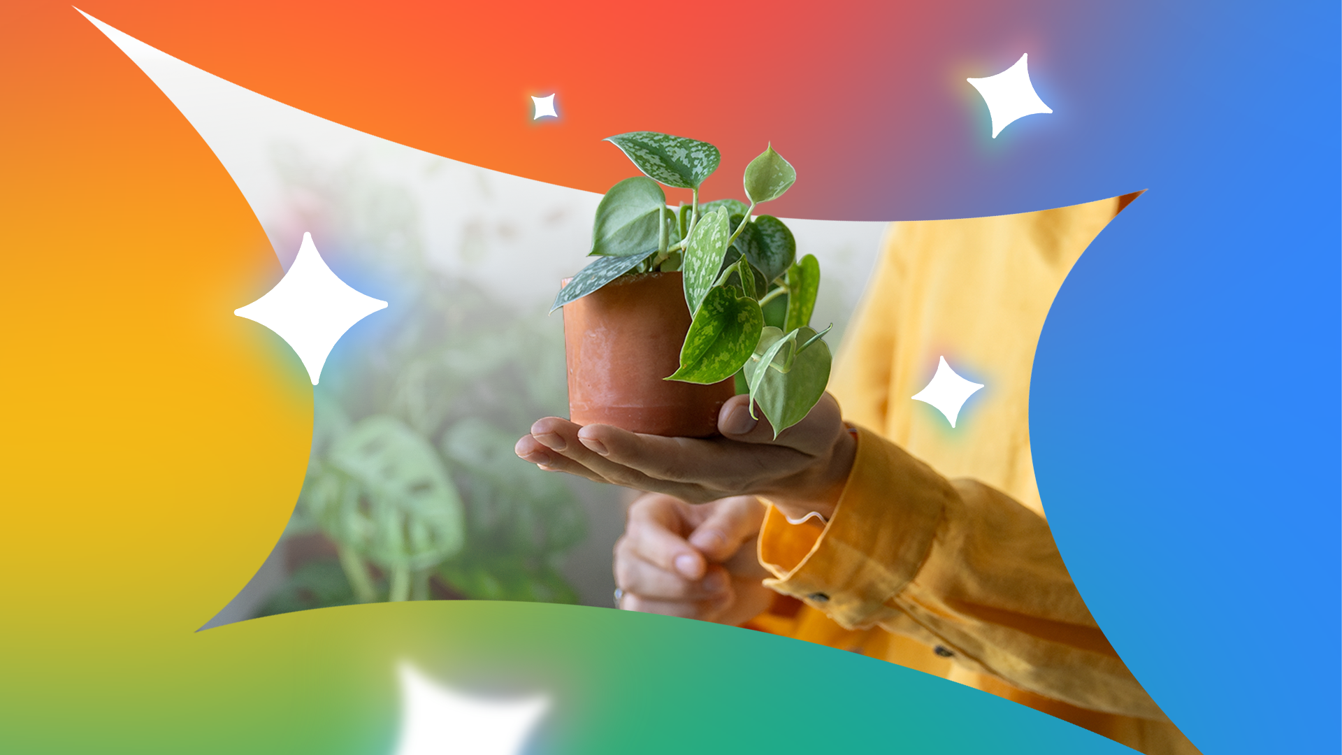Google Gemini Membantu Saya Akhirnya Memulai Hobi Tanaman Hias Setelah Bertahun-Tahun Hanya Membayangkannya