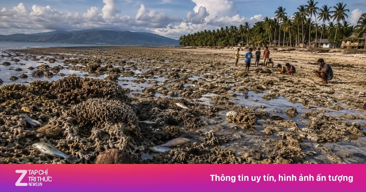 Gempa 7,8 M di Mindanao Dongkrak Dasar Laut 2 Meter, Garis Pantai Bergeser 200 Meter