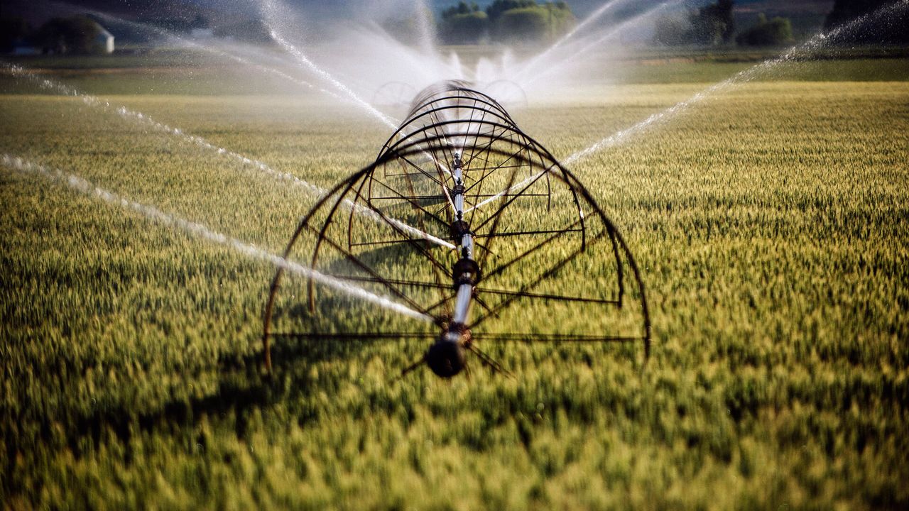 Amazon Sebut Konsumsi Air Pusat Datanya Setara 0,075% Air untuk Siram Rumput di Amerika