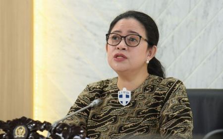 Krisis Air Bersih Mengintai 1.600 Warga di Tiga Kabupaten, Puan Minta Pemerintah Siapkan Mitigasi Sejak Sekarang