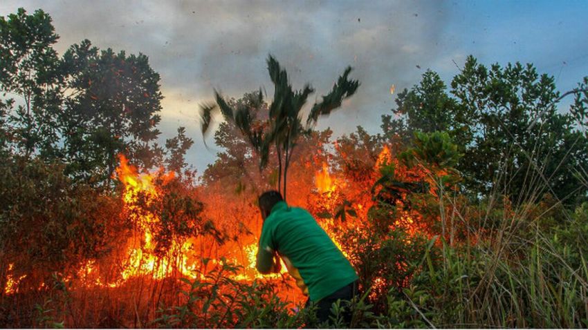 BMKG Deteksi 19 Titik Panas di Riau, Siak dan Kampar Paling Banyak, Waspada Karhutla