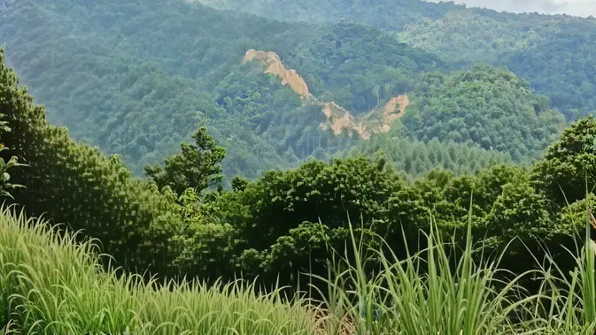 Gempa M 6,7 Guncang Palu, Longsor Tutup Akses Gunung Kamarora di Sigi dan 42 Gempa Susulan