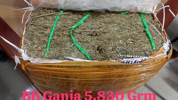 Bareskrim Ungkap Jaringan Ganja Lintas Provinsi, 5,8 Kg Disita dan Tiga Kurir Ditangkap