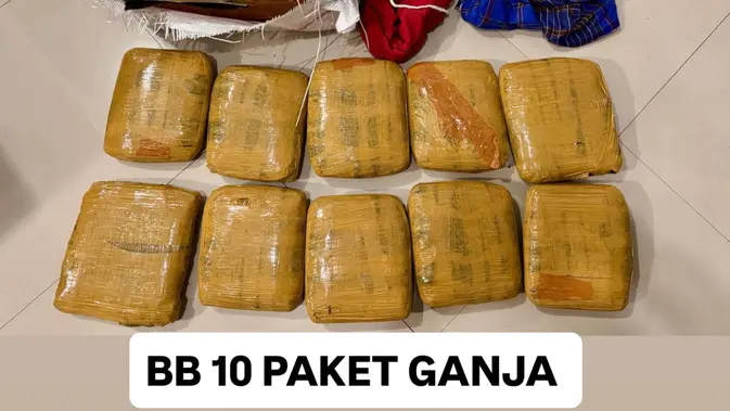 Bareskrim Polri Bekuk Penerima 10 Paket Ganja dari Padang, Kurir Diiming-iming Rp 300 Ribu per Kilogram