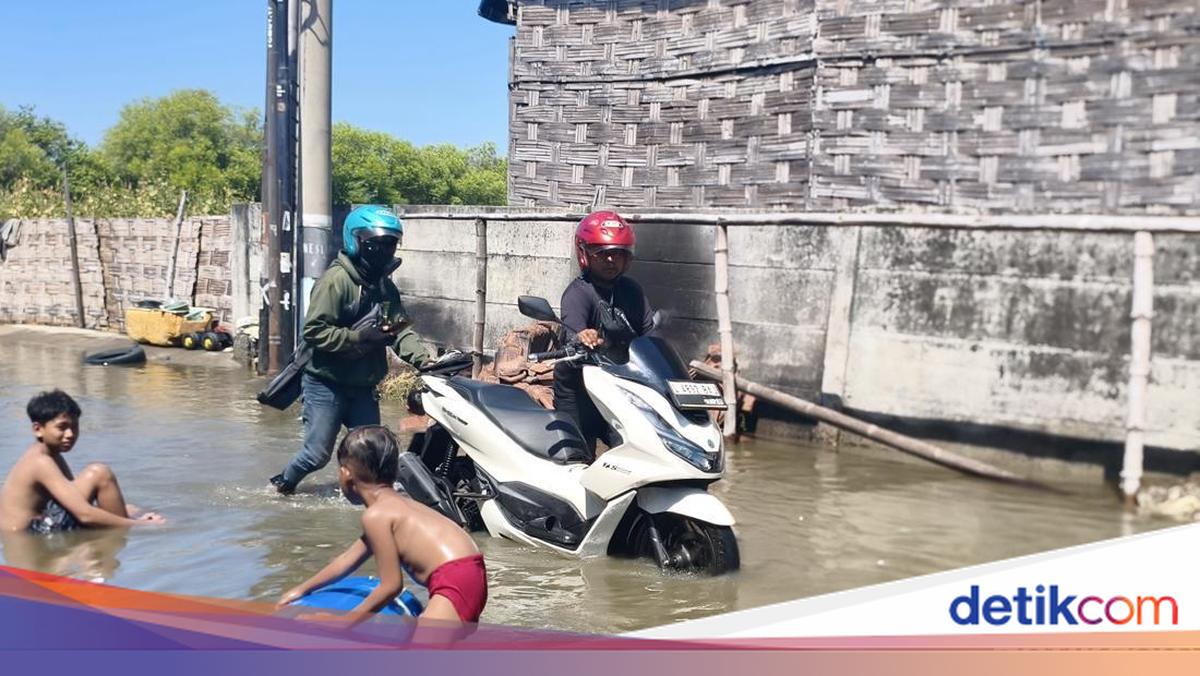 Air Laut Rendam Lima Desa di Sedati Sidoarjo, 2.000 Hektare Tambak Terendam Rob
