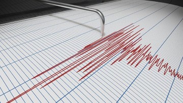 Gempa M 6,7 Guncang Palu, Warga Mengungsi ke Jalan Raya akibat Trauma