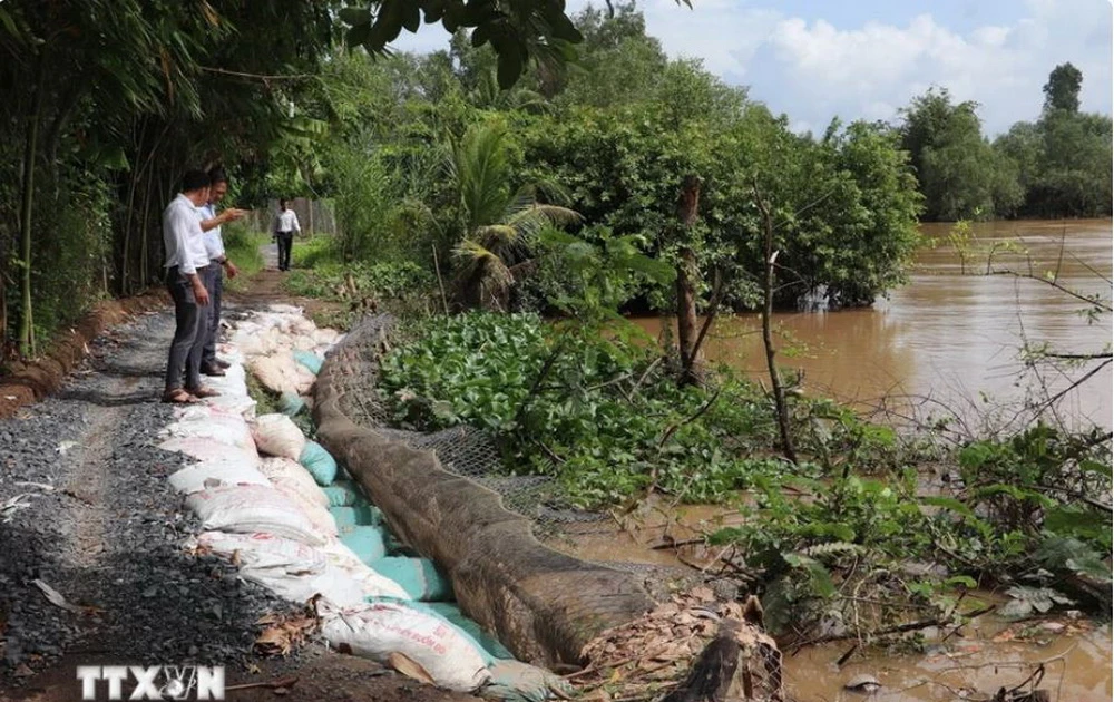 Provinsi Dong Thap Gelontorkan 246 Miliar Rupiah Tanggulangi Longsor di Sepanjang Sungai Tien, Target Rampung 2026
