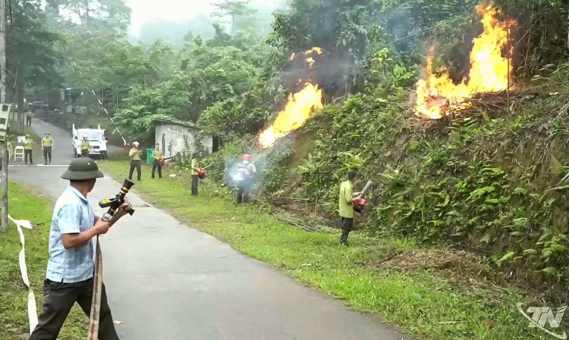 Thailand Nguyen Aktifkan Pos Jaga Hutan hingga Patroli ke Lereng untuk Cegah Karhutla