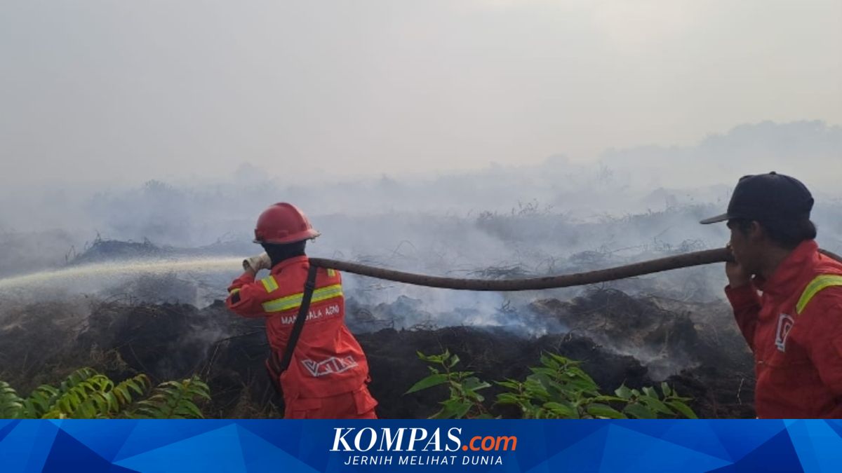 154 Karhutla Terjadi di Sumsel, 305 Hektare Lahan Terbakar Sepanjang 2026, Kabupaten PALI Paling Parah