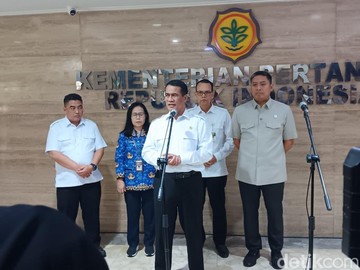 Pemerintah Siapkan Rp 10 Triliun untuk Benih Gratis, Petani Bisa Dapat Jatah Lahan 5 Hektare