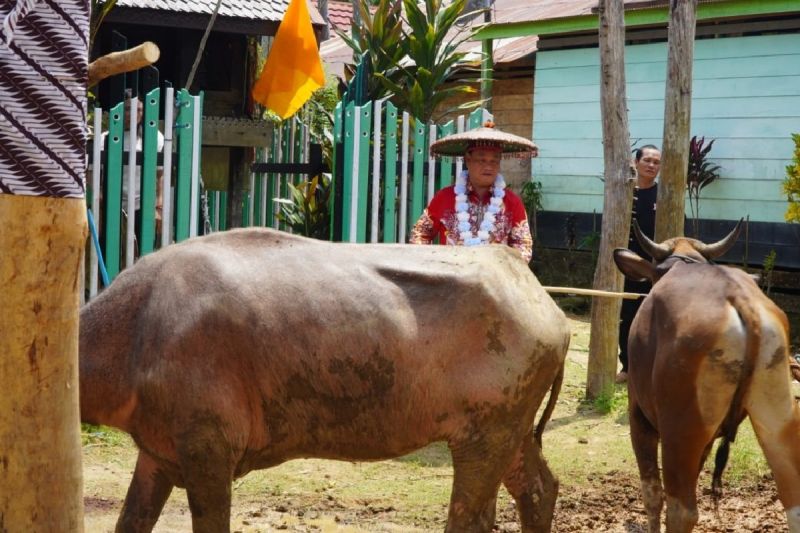 Pemkab Kotim Siapkan Ritual Tiwah dan Mamapas Lewu Jadi Agenda Wisata Budaya Tahunan Mulai 2027