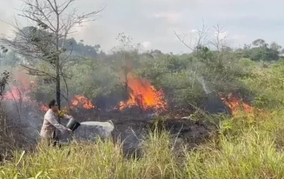 Disdamkarmat Bekasi Minta Warga Tak Bakar Sampah Saat Musim Kemarau, Bisa Picu Kebakaran