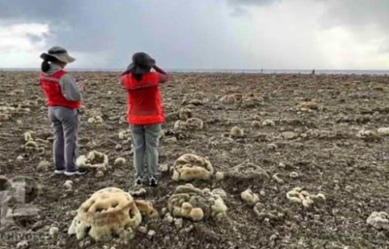 Dasar Laut Filipina Terangkat 2 Meter akibat Gempa M7,8, 68 Orang Tewas dan 33 Hilang
