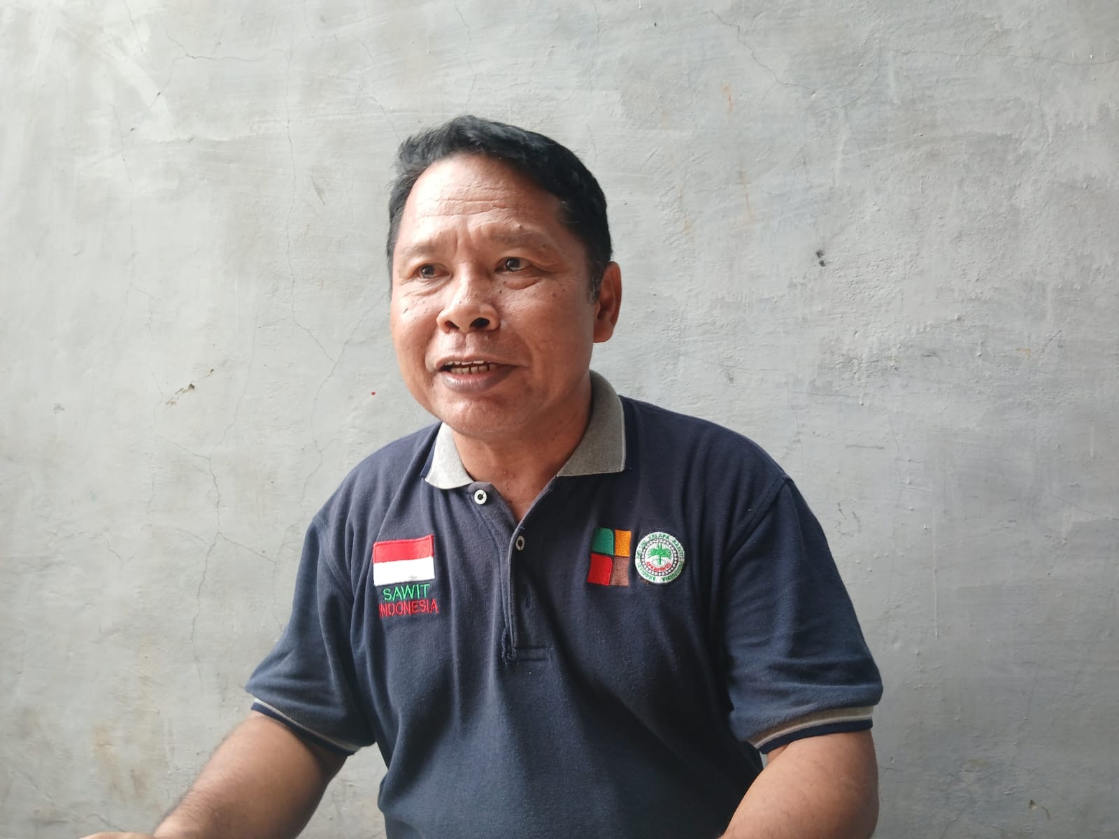 Harga TBS Sawit Resmi Rp3.321 per Kg di Bengkulu, Petani Keluhkan Pabrik Masih Bayar Rp2.500
