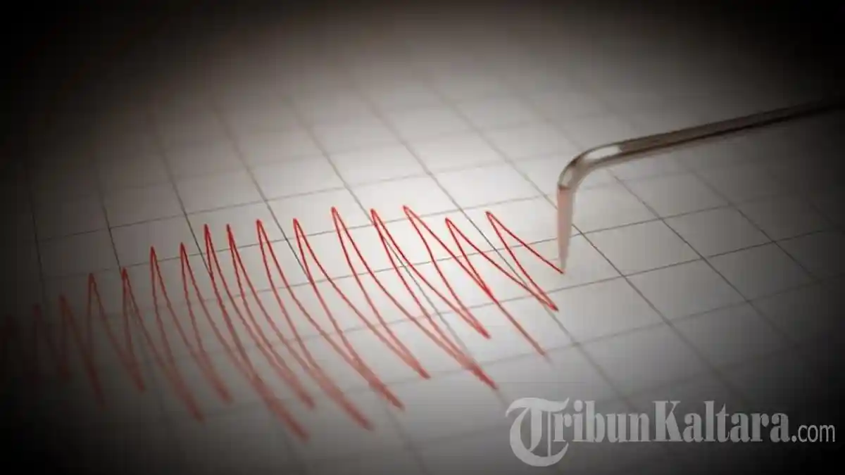 Gempa M 4,2 Guncang Timur Laut Tahuna Sulawesi Utara, BMKG Rilis Peringatan Dini
