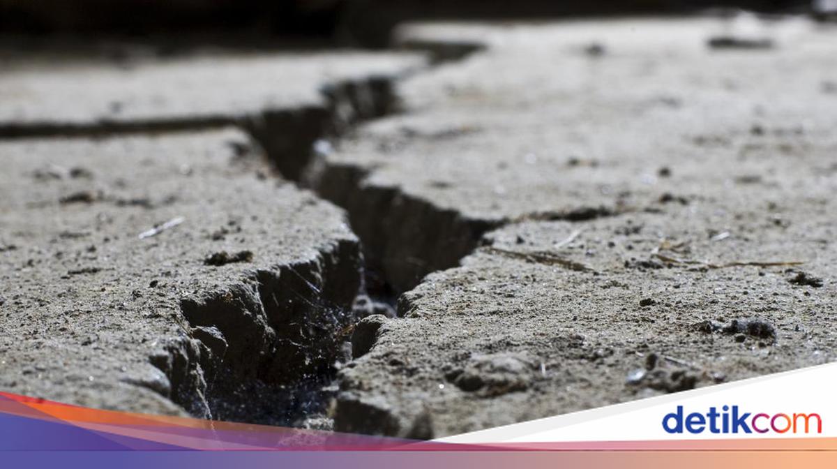 BMKG Ungkap Sesar Kendeng Enam Segmen Aktif, Potensi Gempa Darat M 7 Mengintai Surabaya hingga Bojonegoro
