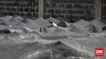 17.600 Motor Listrik Emmo untuk BGN Disegel Kejagung, Bukan Barang Sitaan tapi Didata