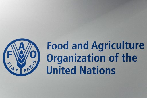 Rasio Impor Pangan Indonesia di Bawah 5%, Mentan Klaim Swasembada Versi FAO Terpenuhi