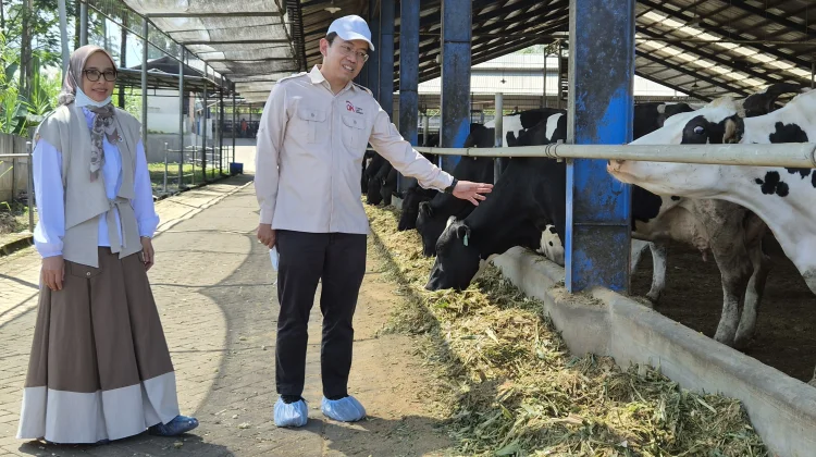 OJK NTB Pelajari Sukses KAN Jabung di Malang, Targetkan Hilirisasi Peternakan dan Pertanian Lewat Koperasi
