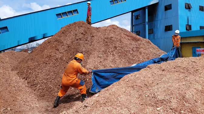 PLN Targetkan Serap 10 Juta Ton Biomassa pada 2030, Nilai Ekonomi Capai Rp 4 Triliun