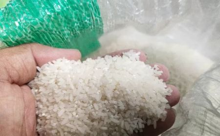 Bapanas Salurkan 7,75 Juta Ton Beras Cadangan Pemerintah ke Masyarakat Sepanjang 2023-2025