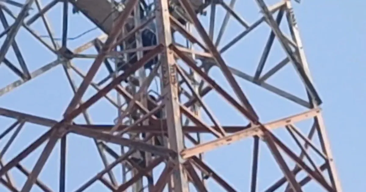 Dua Santri di Brebes Nekat Panjat Tower Seluler 50 Meter Usai Salat Subuh, Sempat Tertidur di Atas