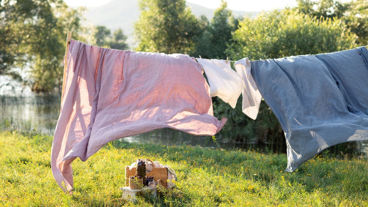 Ahli Infeksi Bongkar Mitos 'Sun Washing' Bantal dan Bedcover saat Cuaca Panas, Suhu 60°C Baru Ampuh Bunuh Tungau