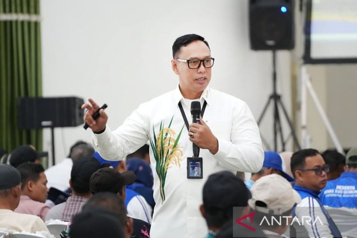 Bulog Janji Serap Gabah Petani Harga Wajar Demi Swasembada Pangan Berkelanjutan