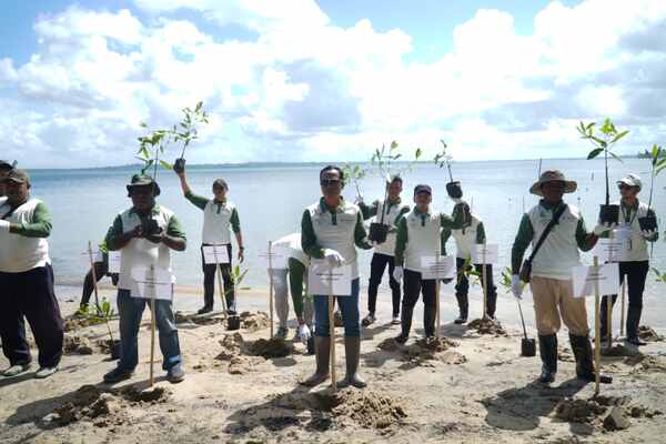 Pertamina Kilang Kasim Tanam Mangrove dan Bersih Pantai di Seget, Targetkan Destinasi Wisata Baru Papua Barat Daya