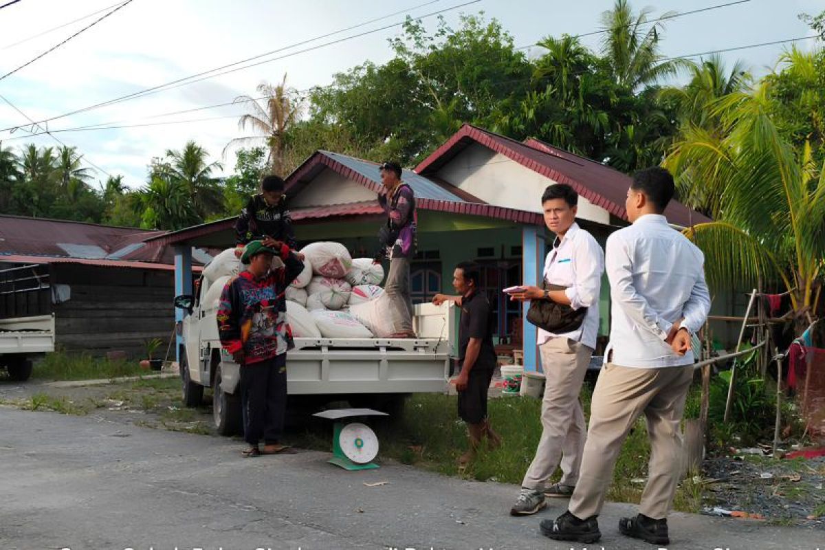 Bulog Singkawang Kejar Target Serap 7.819 Ton Gabah Petani, Sambas Jadi Andalan Panen Raya