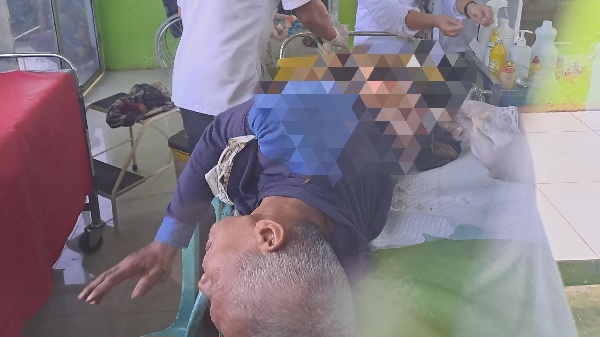 Beruang Serang Warga Air Beliti Saat Semprot Rumput di Kebun, Yatana (55) Luka Robek di Punggung dan Paha