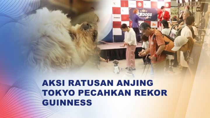 Ratusan Anjing di Tokyo Big Sight Bertarung Diam 30 Detik Demi Rekor Guinness