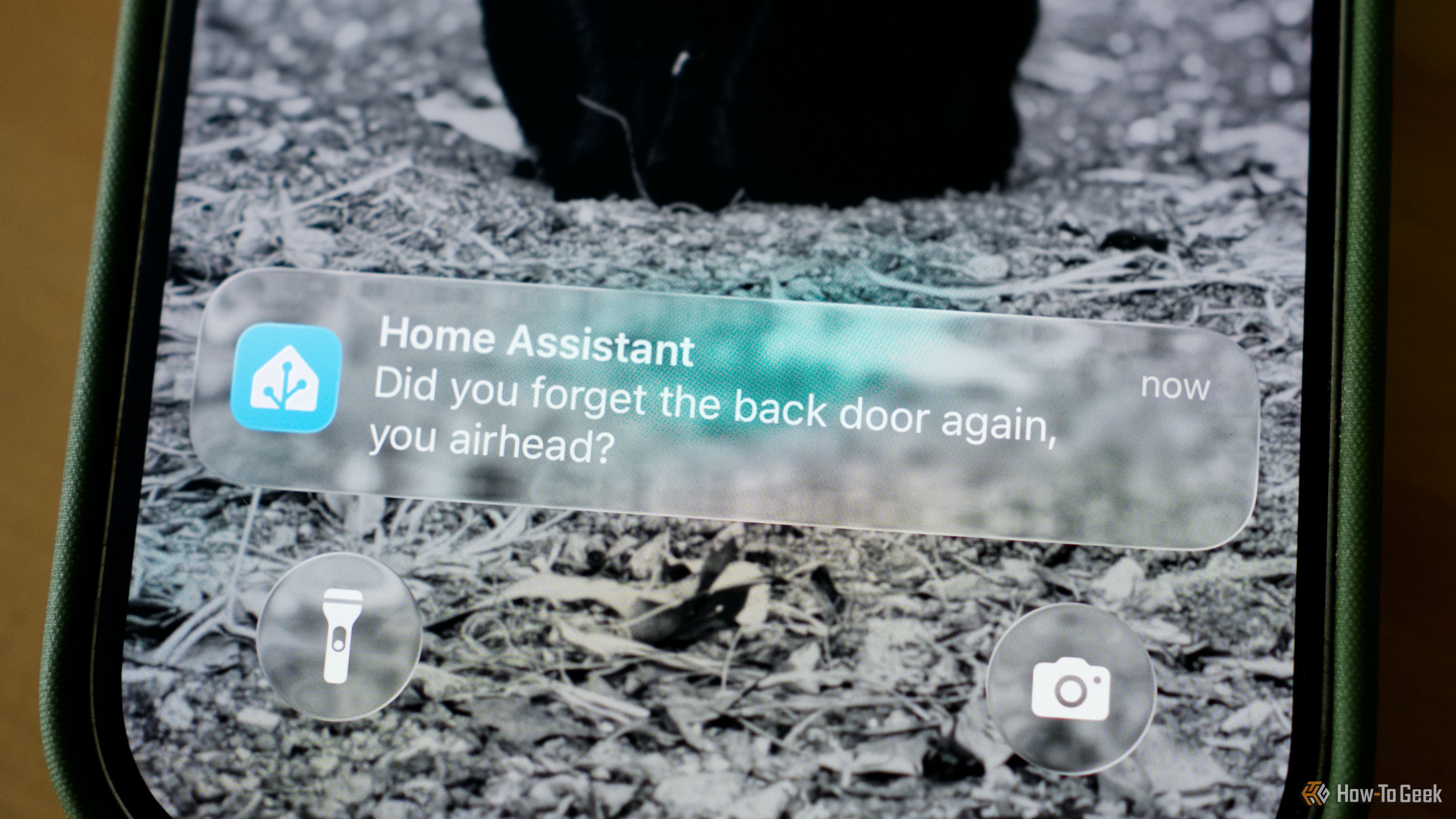 Integrasi ChatGPT dan Gemini ke Home Assistant Bikin Rumah Pintar Makin Cerdas Tanpa Biaya Langganan