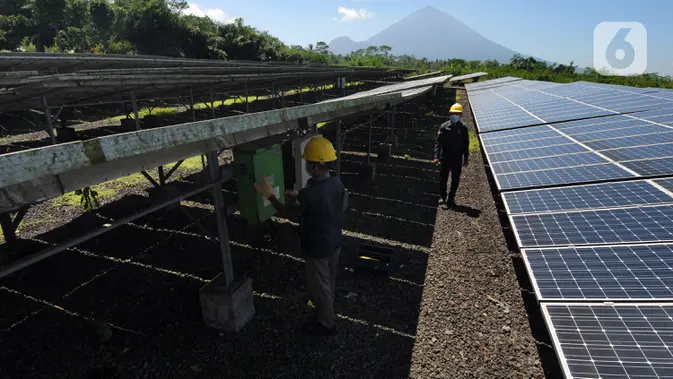 Target PLTS 100 GW, Koperasi Didesak Masuk ke Proyek Energi Surya — Ini Skema Barunya