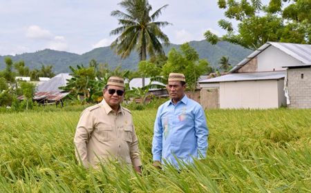 Presiden Prabowo Canangkan Swasembada Energi, B50 Siap Meluncur Juli 2026