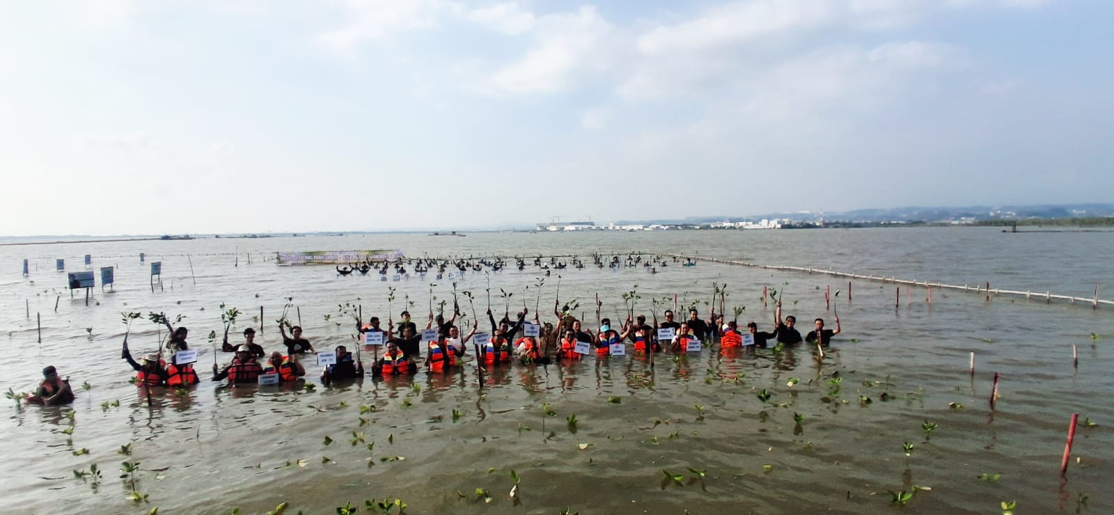 PAMA Group Tanam 2.000 Bibit Mangrove di Semarang, Kolaborasi dengan Media dan Akademisi untuk Rehabilitasi Pesisir