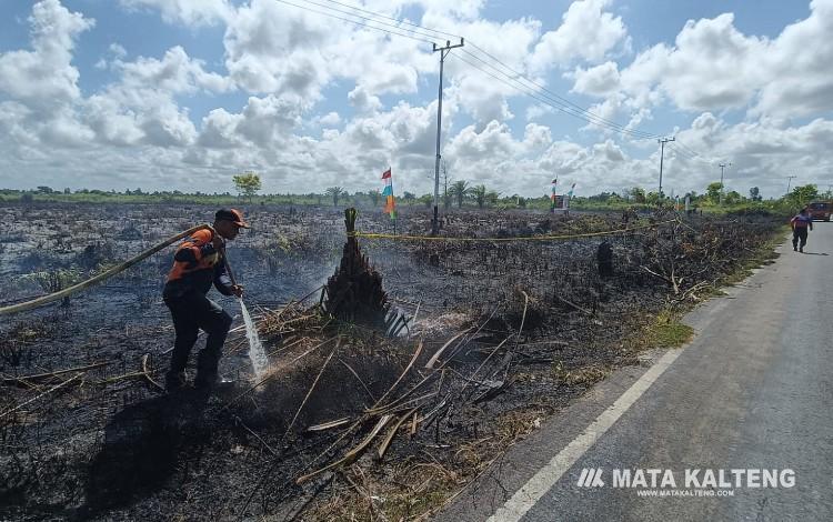 Lahan Perumahan Puri Kencana Indah Residence di Sampit Terbakar, BPBD Kotim Curiga Ada Unsur Kesengajaan