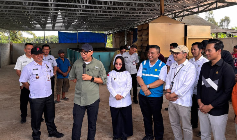 Dampingi Gubernur Lampung ke Mesuji-Tulang Bawang, PLN Siapkan Listrik untuk Bed Dryer Petani