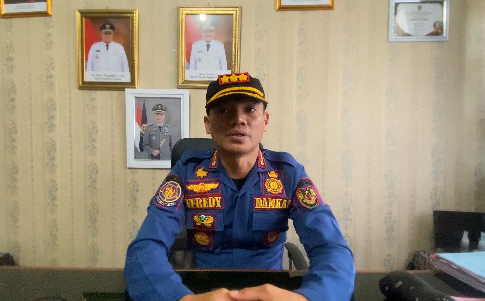 Satpol PP Bengkulu Selatan Bakal Tindak Tegas Pemilik Ternak yang Masih Lepas Hewan di Jalan Raya