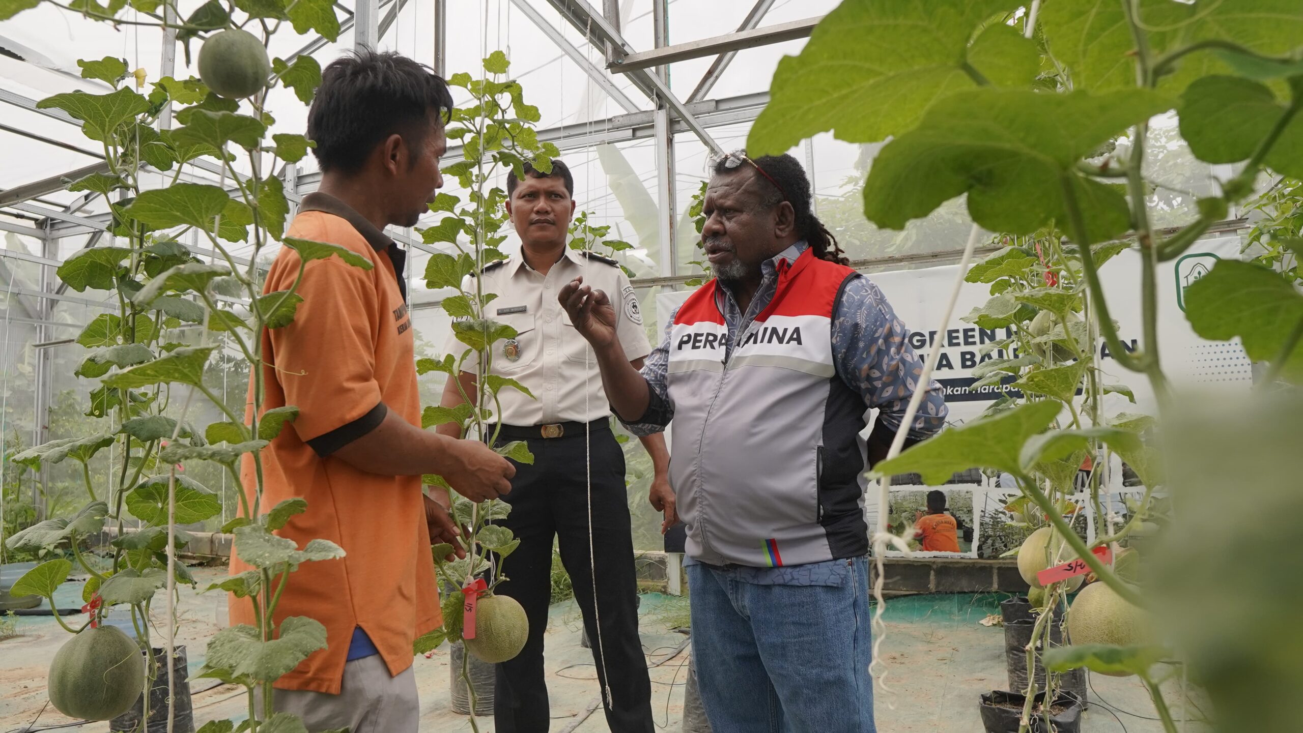 Pertamina Latih 11 Warga Binaan Lapas Balikpapan Jadi Petani Modern, Panen Melon 400 Kg