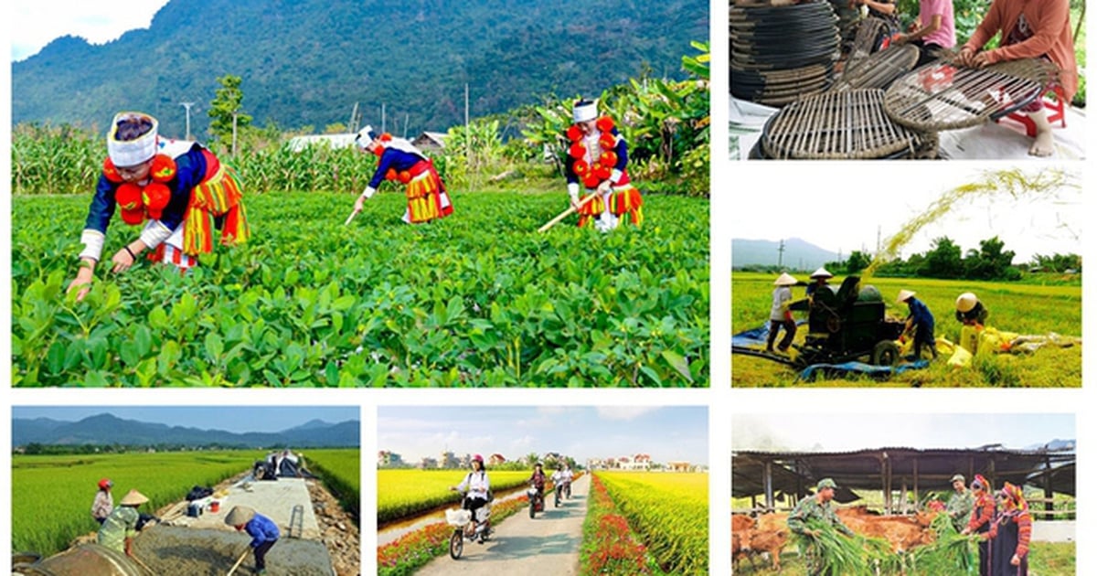 Pemerintah Vietnam Alokasikan Anggaran Pusat ke 5 Kementerian dan 27 Daerah untuk Program Nasional 2026-2030