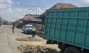 Bupati Muba Toha Tohet Dorong Gotong Royong Perbaiki Jalan Nasional Sekayu–Lubuklinggau di Sanga Desa, Libatkan Perusahaan dan Warga